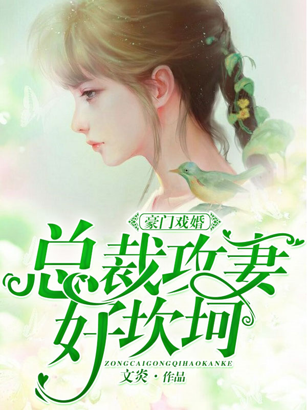 《豪门戏婚：总裁攻妻好坎坷》&（完整全文在线阅读）【完本】【全章节】